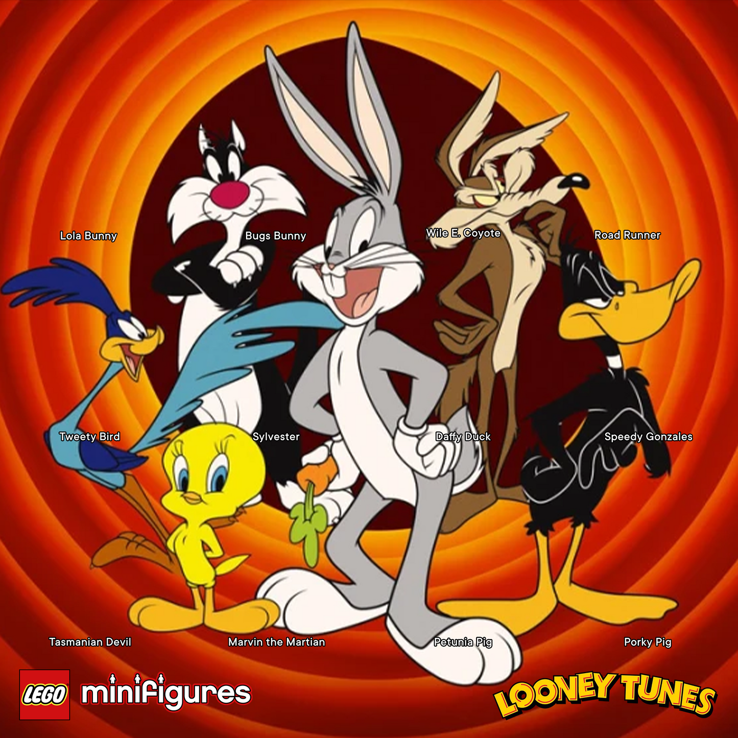 Looney Characters Display Case