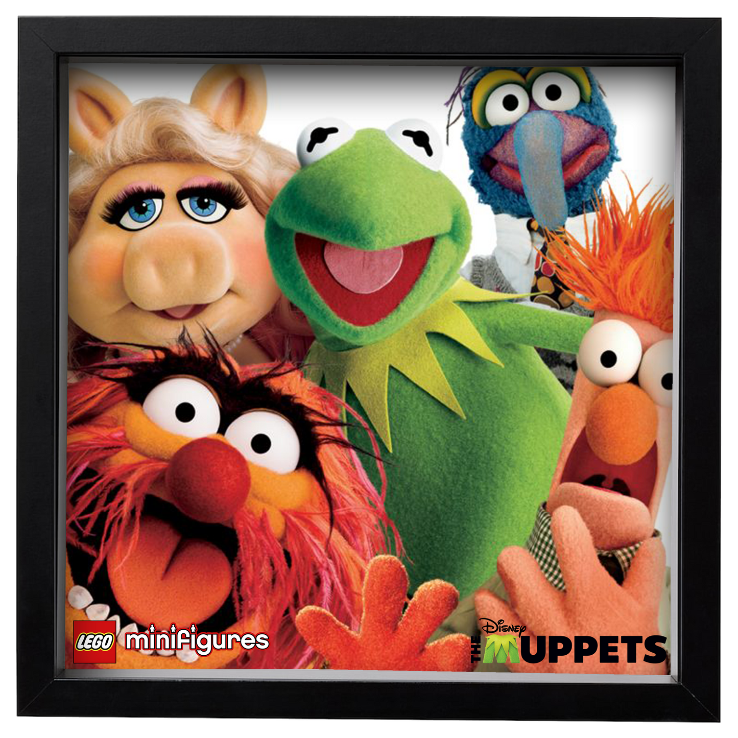 (M)Puppets Display Case
