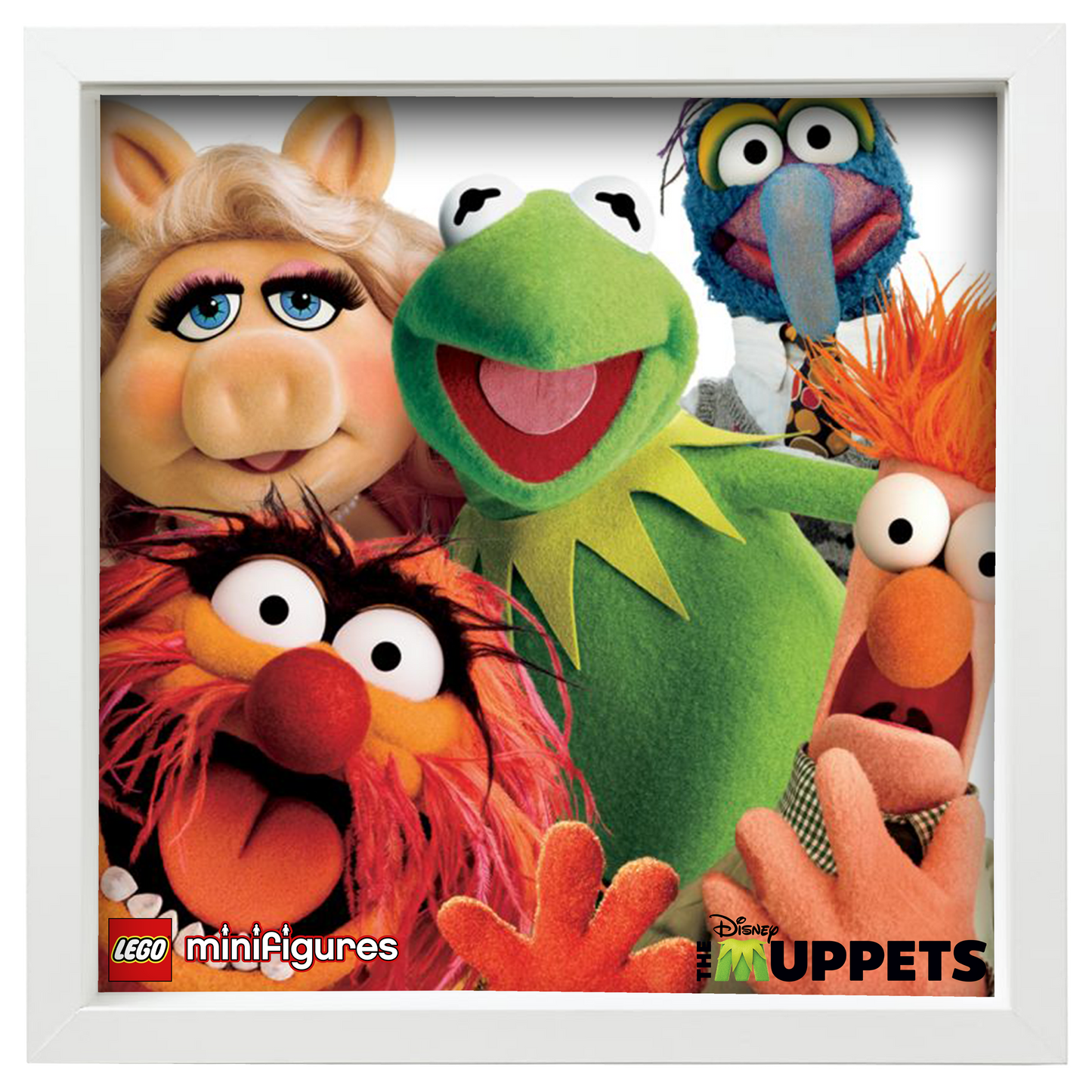 (M)Puppets Display Case